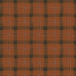 The Plaid One